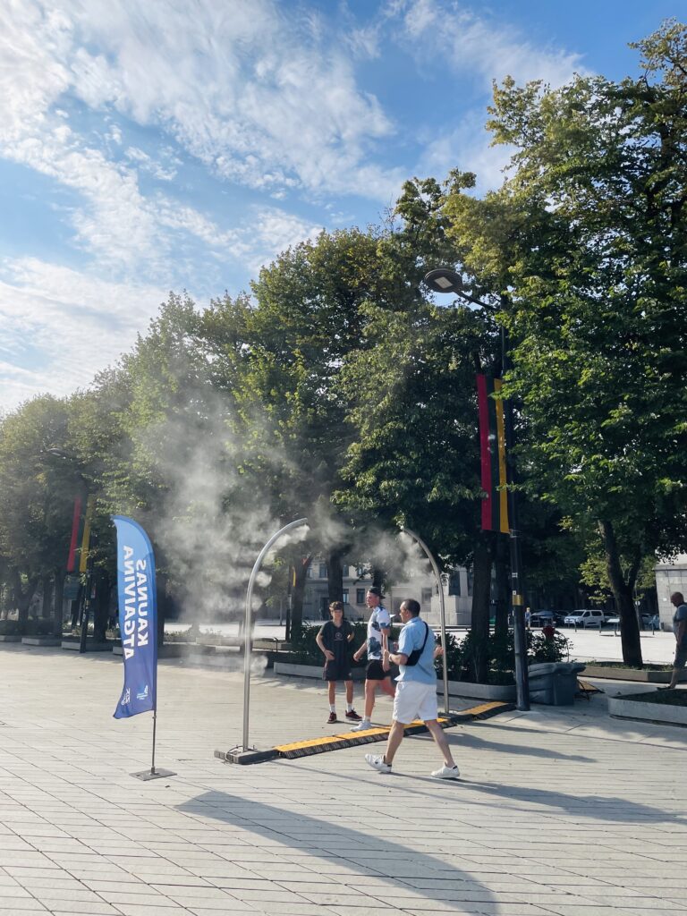 Vandens dulksna
