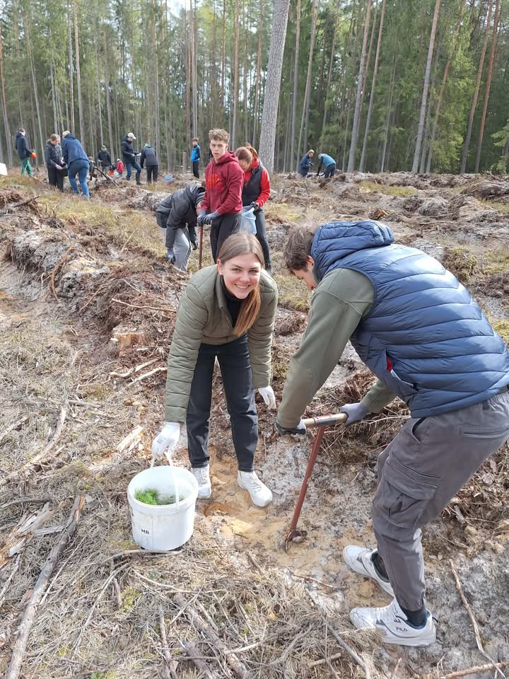 Nacionalinis miškasodis