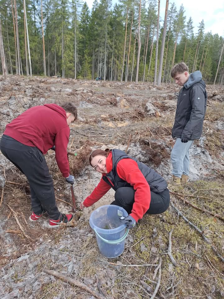Nacionalinis miškasodis