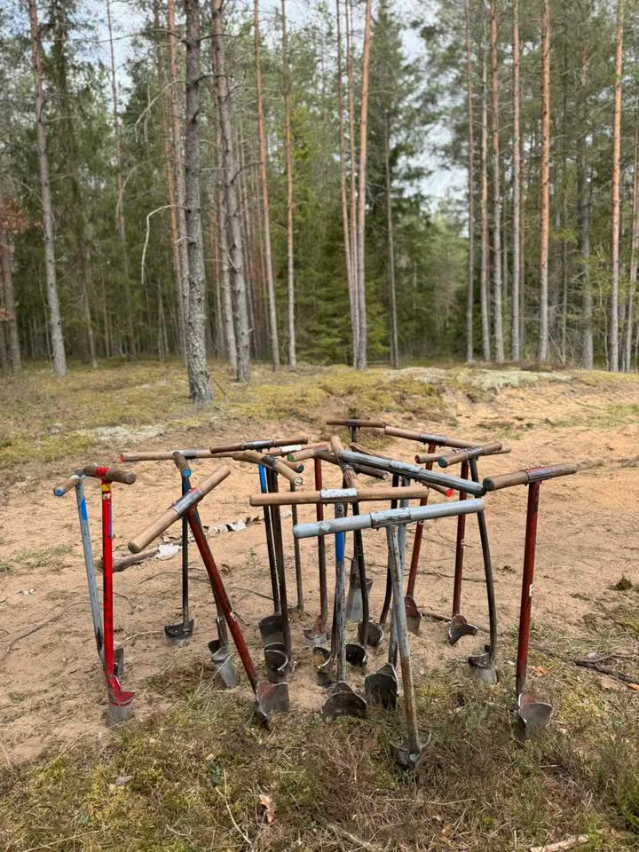 Nacionalinis miškasodis