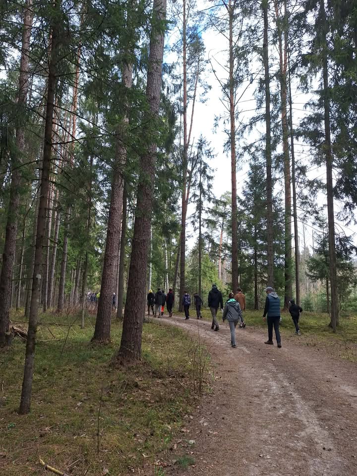 Nacionalinis miškasodis