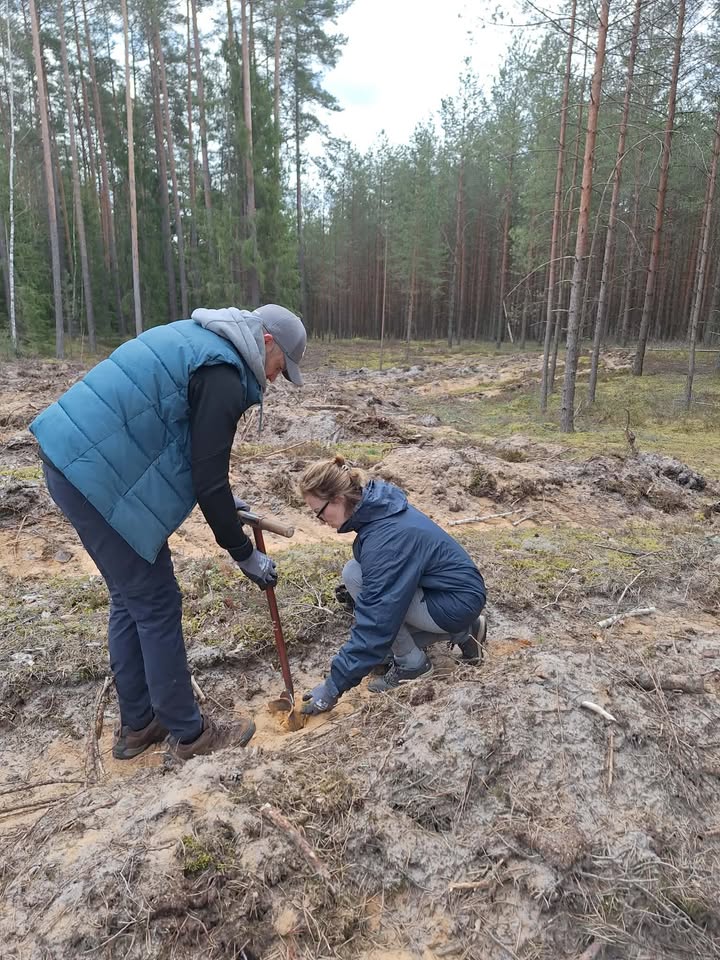 Nacionalinis miškasodis