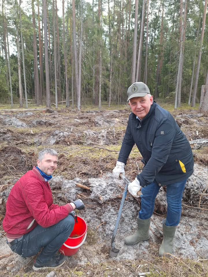 Nacionalinis miškasodis