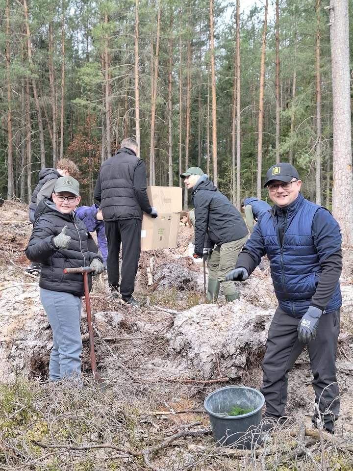 Nacionalinis miškasodis