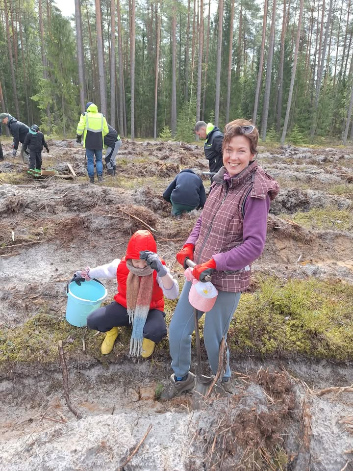 Nacionalinis miškasodis